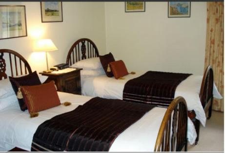 Best Inn Hotel Hotel